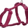 PETTORINA AD H PREMIUM L TRIXIE 1 PETTORINA AD H PREMIUM L TRIXIE -cibo per cani negozio 216639 PHO PRO CLIP Premium 1999620 204920 19 450x450
