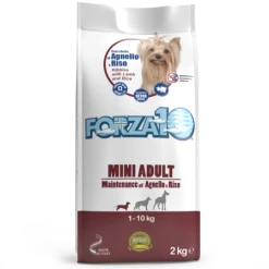 FORZA 10 MINI ADULT MAINTENANCE AGNELLO & RISO KG 2