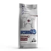 FORZA 10 DERMO ACTIVE CANE KG 10 2 FORZA 10 DERMO ACTIVE CANE KG 10 -cibo per cani negozio FORZA201020DERMO ACTIVE CANE20KG2010 offerta 450x450