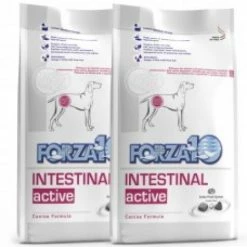 FORZA 10 INTESTINAL ACTIVE CANE KG.10 X 2 Offerta