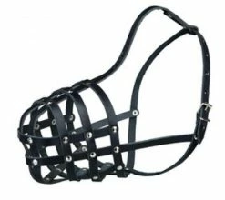 MUSERUOLA JULIUS K9 IN CUOIO M