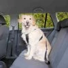 PETTORINA DI SICUREZZA PER AUTOMOBILE L -cibo per cani negozio PETTORINA20DI20SICUREZZA20PER20AUTOMOBILE20L 450x450 1