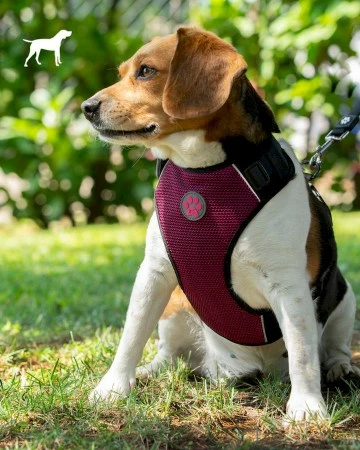 PETTORINA KOMODO GIMDOG M 3 PETTORINA KOMODO GIMDOG M