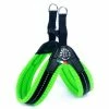 PETTORINA TRE PONTI FLUO TG.2,5 Offerta -cibo per cani negozio PETTORINA TRE PO 59da52cb21a22 450x450 2