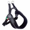 PETTORINA TRE PONTI FLUO TG.3 Offerta -cibo per cani negozio PETTORINA TRE PO 59da535bbd79f 450x450 2