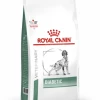 ROYAL CANIN DIABETIC CANE KG 12 -cibo per cani negozio ROYAL20CANIN20DIABETIC20CANE20KG2012 450x450 1