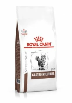 ROYAL CANIN GASTROINTESTINAL GATTO KG 4