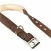 COLLARE FERPLAST DAYTONA C40/63 -cibo per cani negozio download8 450x450 1
