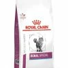 ROYAL CANIN RENAL SPECIAL GATTO SECCO KG 2 2 ROYAL CANIN RENAL SPECIAL GATTO SECCO KG 2 -cibo per cani negozio vhn vital support renal special cat dry packshot 450x450